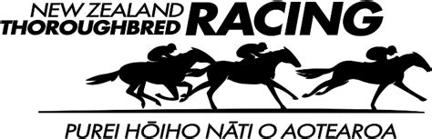 nz horse racing results|RaceInfo .